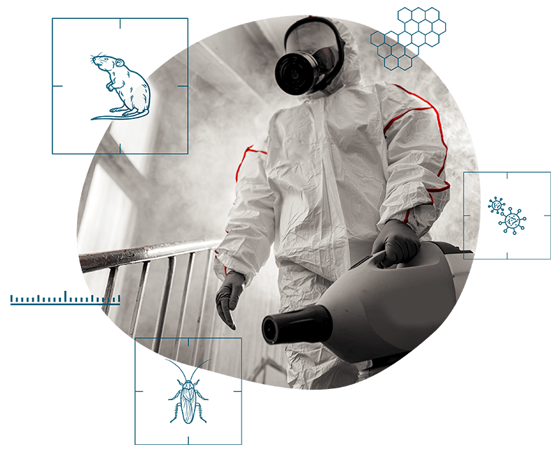 swieze-powietrze-ozonowanie